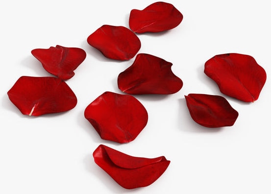 Red Rose Petals